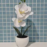 Apartamento Escape *